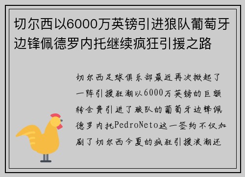 切尔西以6000万英镑引进狼队葡萄牙边锋佩德罗内托继续疯狂引援之路