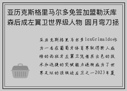 亚历克斯格里马尔多免签加盟勒沃库森后成左翼卫世界级人物 圆月弯刀拯救球队